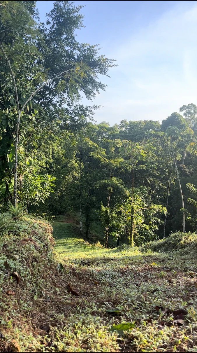 SPECTACULAR ECOLOGICAL MOUNTAIN FARM IN BIJAGUAL DE TURRUBARES - Gallery image 40