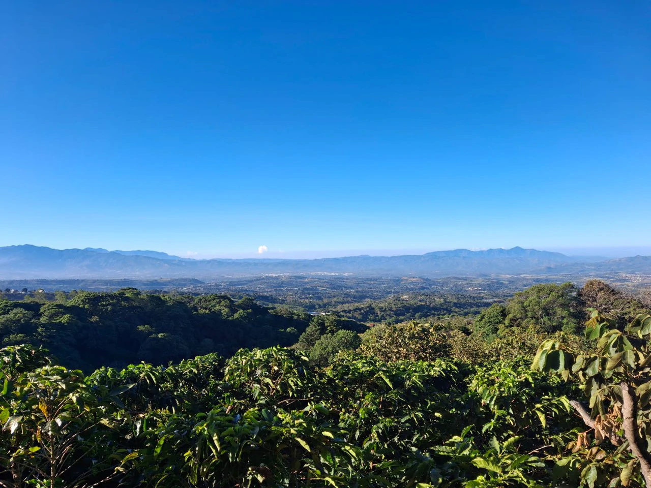 Cafetalero or Developer?: 25,378 m2 with Views of the Central Valley!!