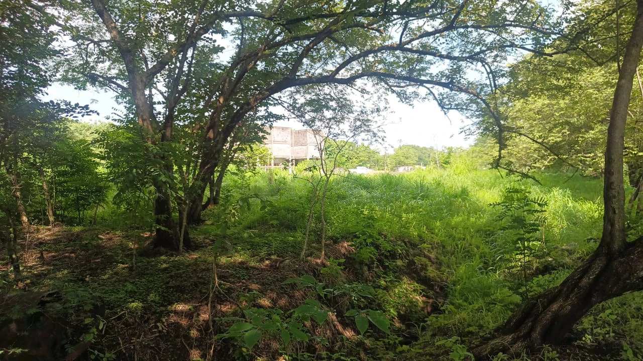 Industrial Property Complex for Sale – Prime Location on Route #21, Just 5 Minutes from Liberia International Airport - Gallery image 12