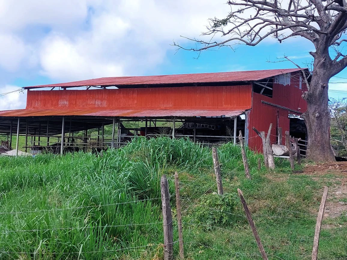 HACIENDA LOMBARDIA : Fully Operating Livestock Business - Gallery image 17