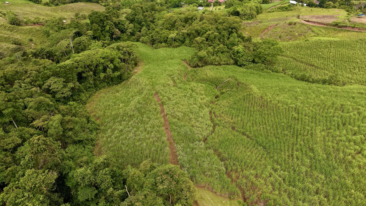 Home Construction Site For Sale in General Viejo - Gallery image 11
