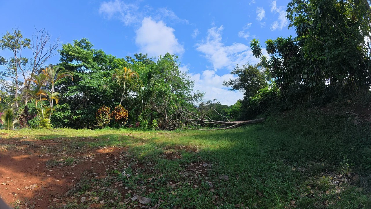 FOR SALE IN LAS MERCEDES DE CAJÓN, PEREZ ZELEDON: Lot for Sale in Las Mercedes de Cajon, Perez Zeledon 2,466 m² - Gallery image 6