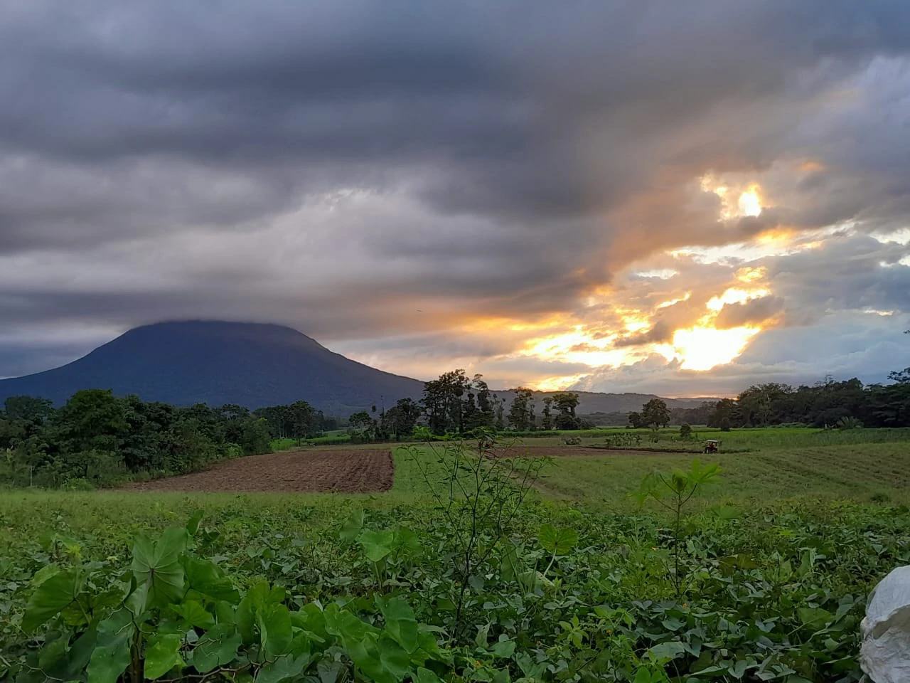 La Fortuna (Arenal) Opportunity!: 4 ha in La Fortuna Tourist Hotspot! USO: Hotel | Commercial | Mixted - Gallery image 5