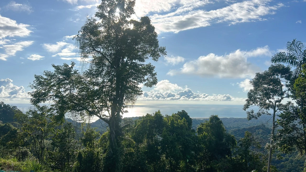 Year-Round Sunset Views | 3 Connected Build-Ready Lots - Gallery image 2