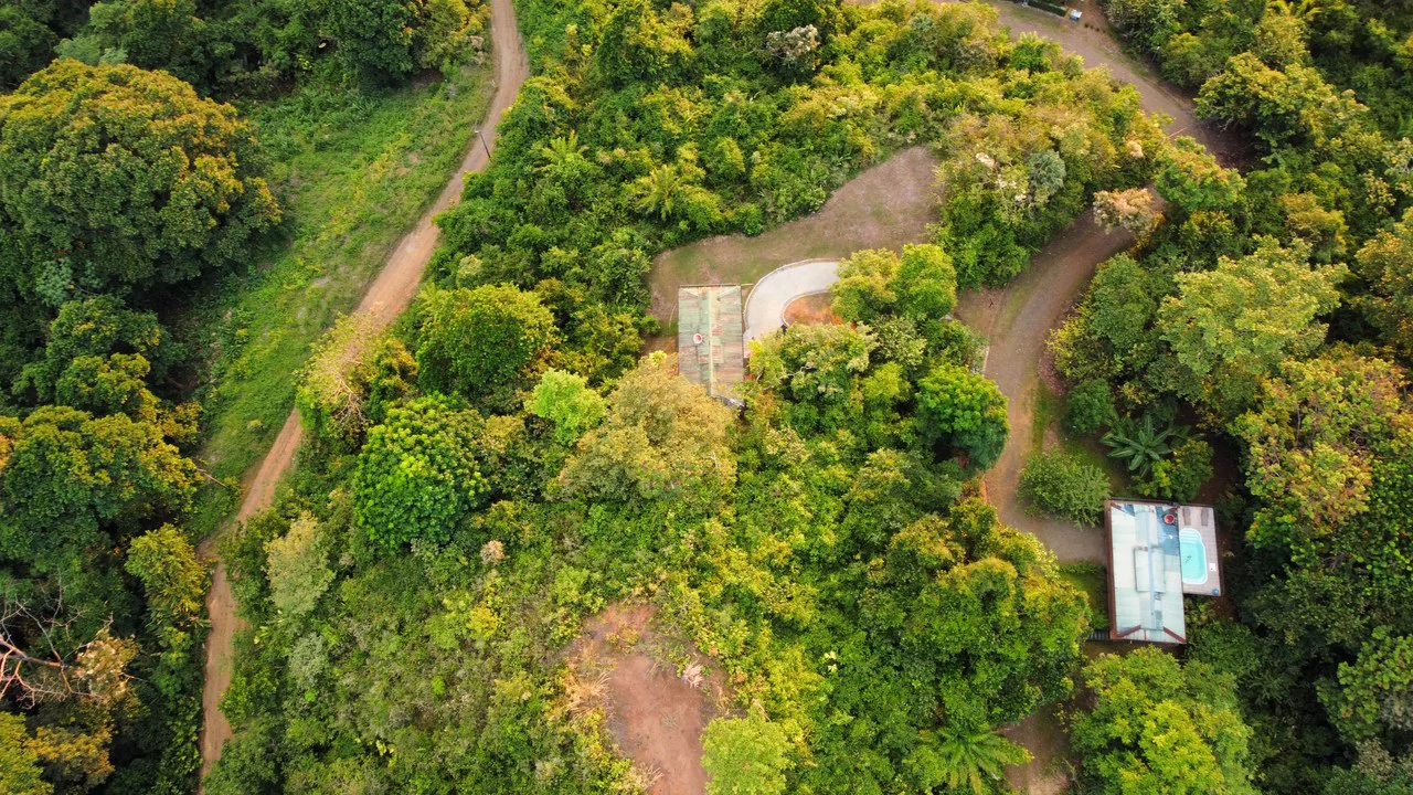 Casa Vista Hermosa: Nature refuge near Manuel Antonio National Park - Gallery image 36