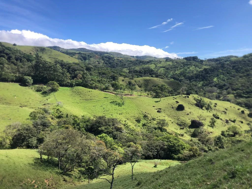 A Lifestyle Canvas with Gulf Views: 5 Hectares Near Monteverde CE0224: Build Your Dream Lifestyle: 5 Hectares with a million dollar Ocean Views & Sunset Magic Near Monteverde - Gallery image 3