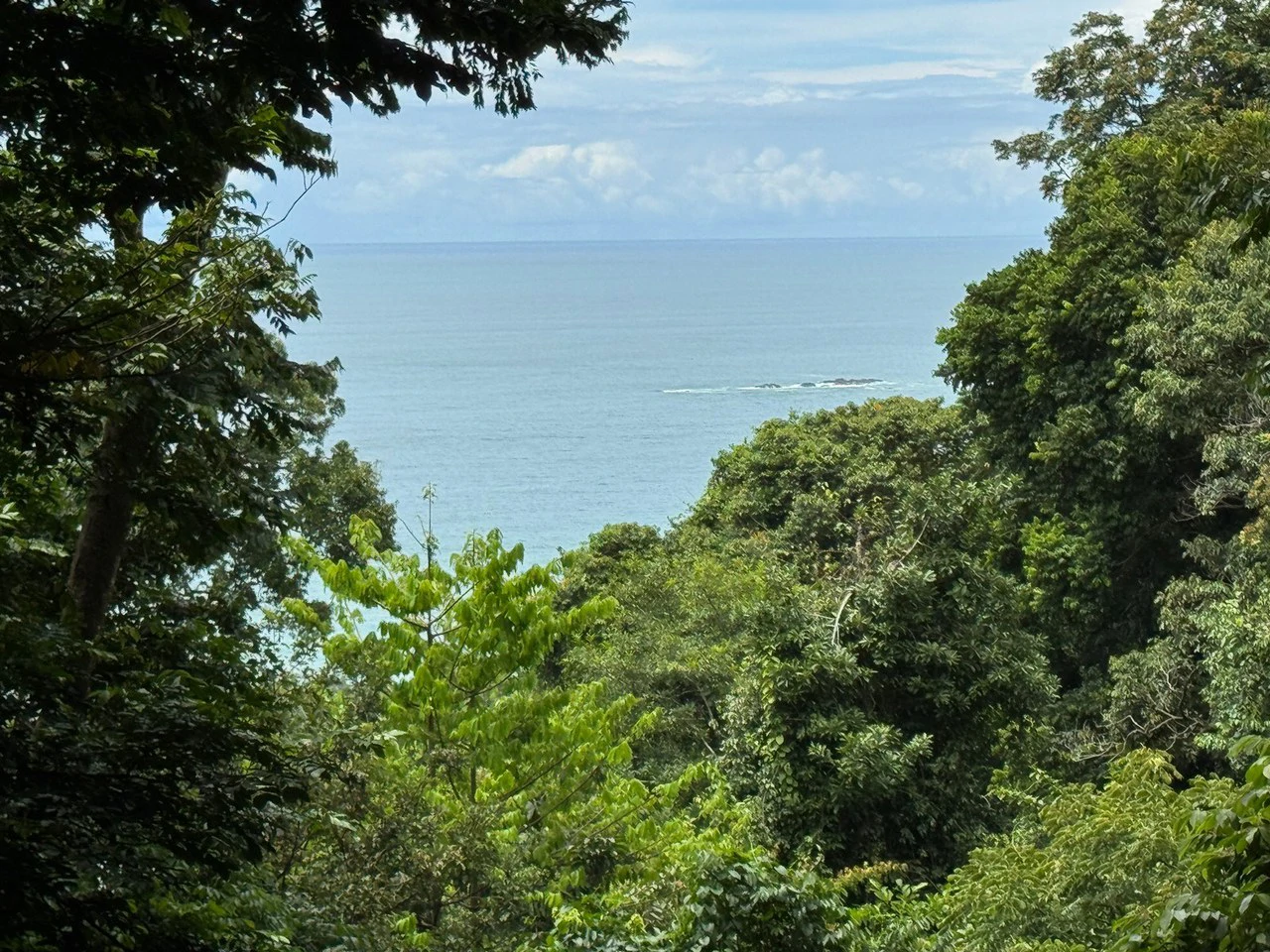 0.25 ACRES – Affordable Ocean View Property With Easy Access And Legal ASADA Water!!!