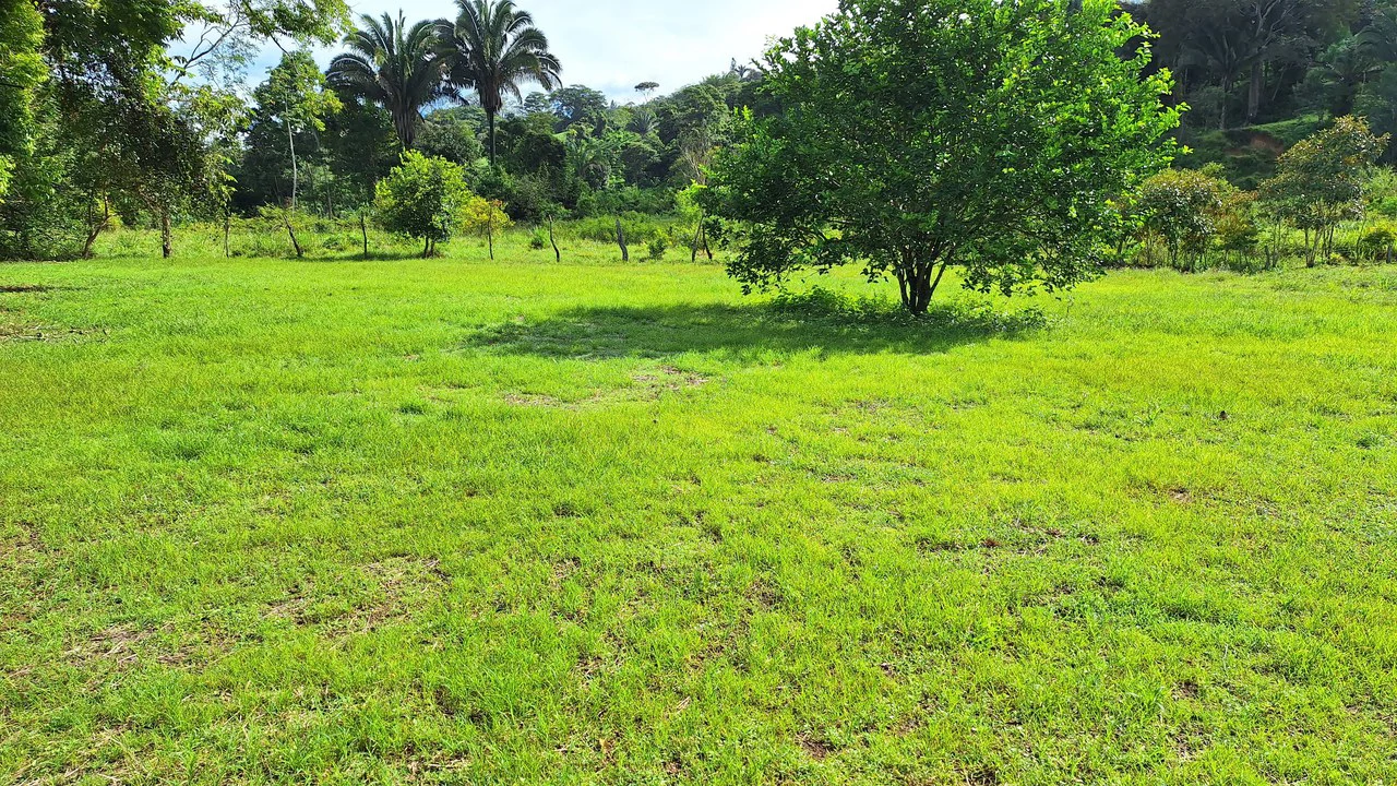 SUSTAINABLE PROPERTY FOR SALE IN THE PRIVACY OF PÉREZ ZELEDÓN, ROSARIO DE PACUAR - Gallery image 3