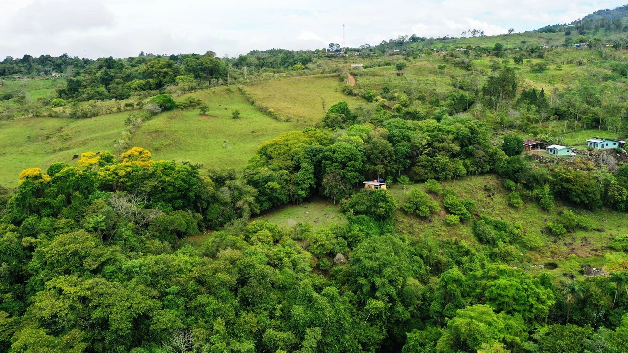 45 Acre Premier Riverfront Ranch in Santa Teresa Pérez Zeledón - Gallery image 9