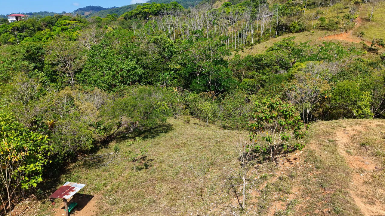 2.8 HA FARM FOR SALE IN SAN LUIS DE MORETE | MOUNTAIN VIEWS AND NEAR THE OCEAN - Gallery image 26