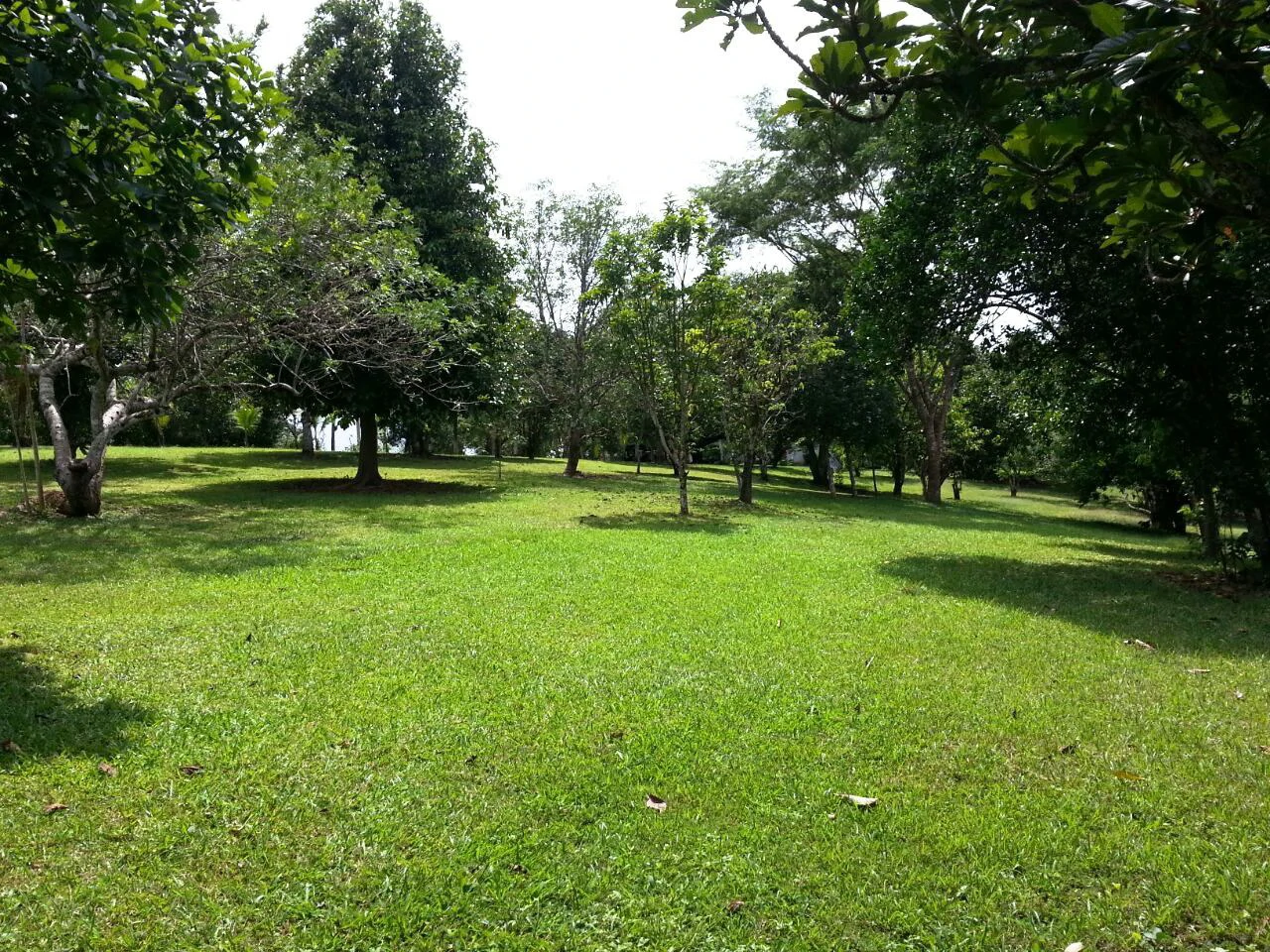 Finca Wellness: Live the Pura Vida Dream – Nature, Privacy & Pacific Beaches - photo 7