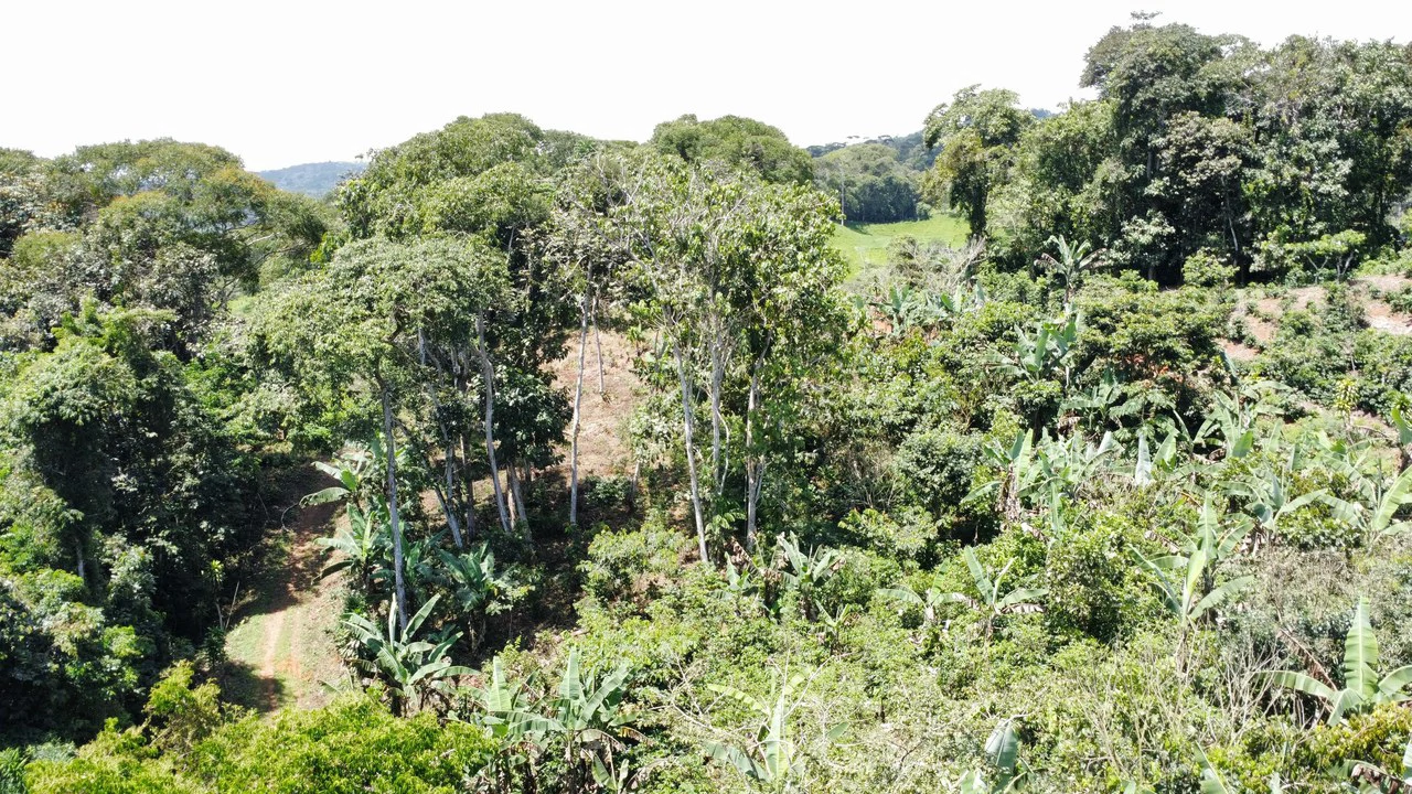 Propiedad en San Rafael de Platanares, Costa Rica: Mountain Home Construction Site For Sale in San Rafael - Gallery image 2
