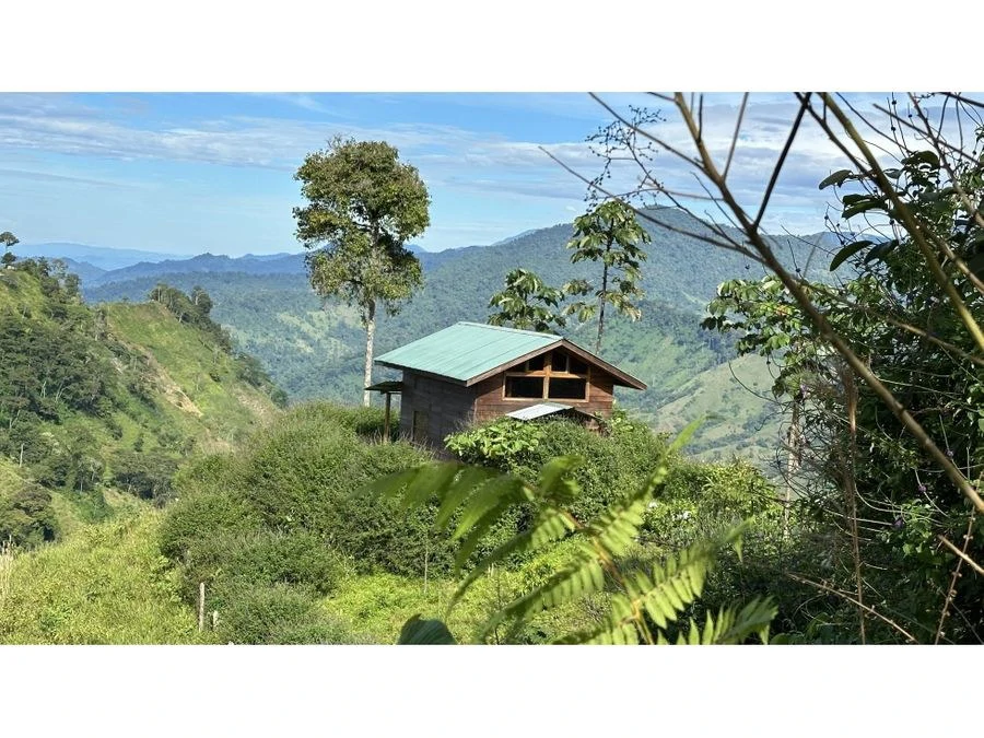 BEAUTIFUL MOUNTAIN VIEW FINCA WITH CABIN IN RIO NUEVO - Gallery image 6