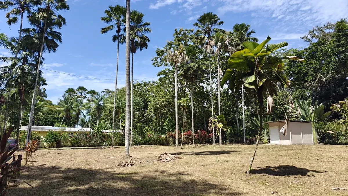 ID 949: 1,547 sqm Build-Ready Lot Near Cahuita and Playa Grande - Gallery image 3