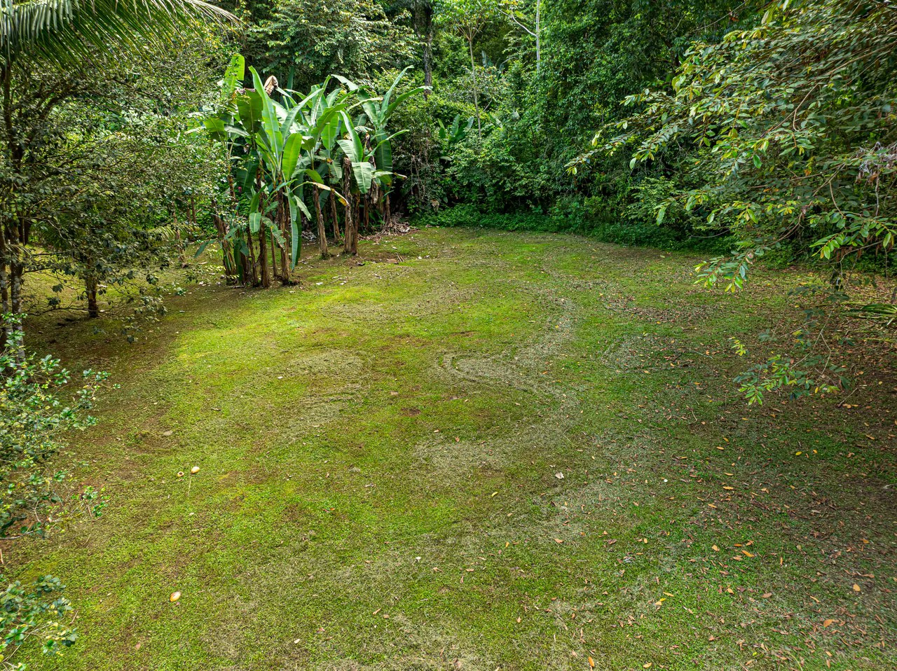 Tropical Hideaway – 7 Acres of Secluded Riverfront with a 3-Bedroom Home: Mountain House For Sale in Bahía Ballena - Gallery image 33