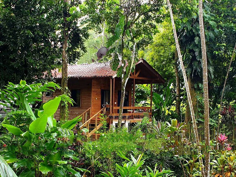 8 Cabinas with Swimming Pool on Lush Jungle Property in Uvita - Gallery image 42