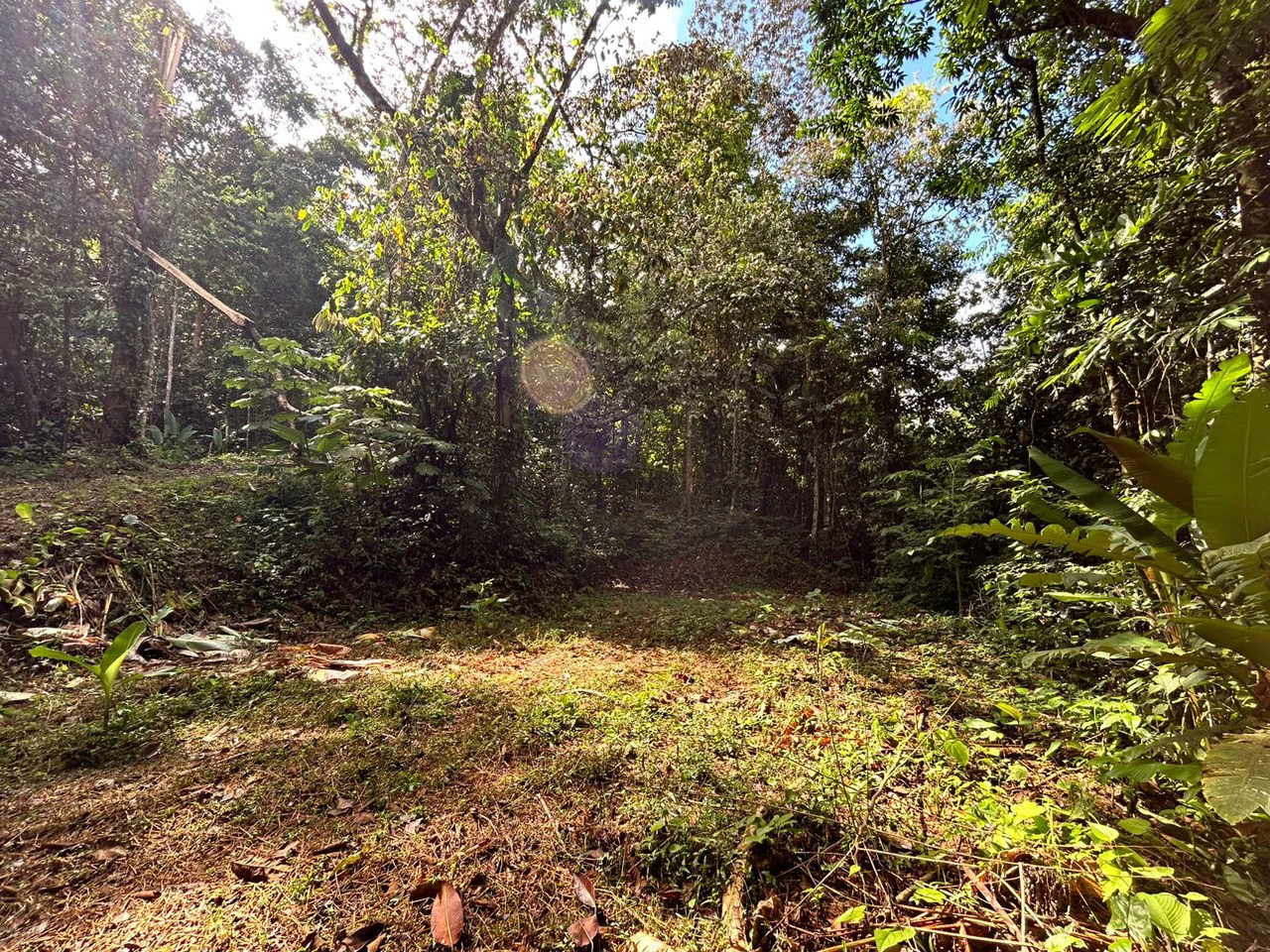 1.4-acre gated lot in Uvita - Gallery image 9