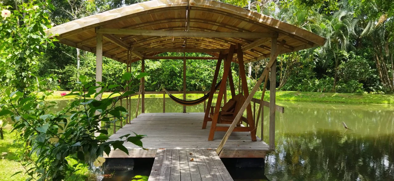 Pristine Business for Sale in Santo Domingos Forest, 3 cabins surrounded by wild nature, Tilapia lake with a dock, and a Restaurant - Gallery image 4
