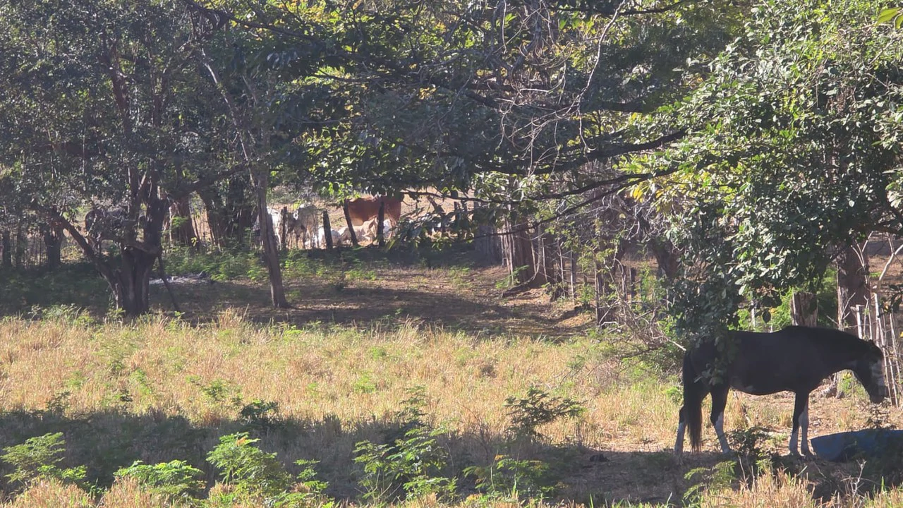 3 Commercial lots for sale in Artola with 70 m of public road frontage - Gallery image 7