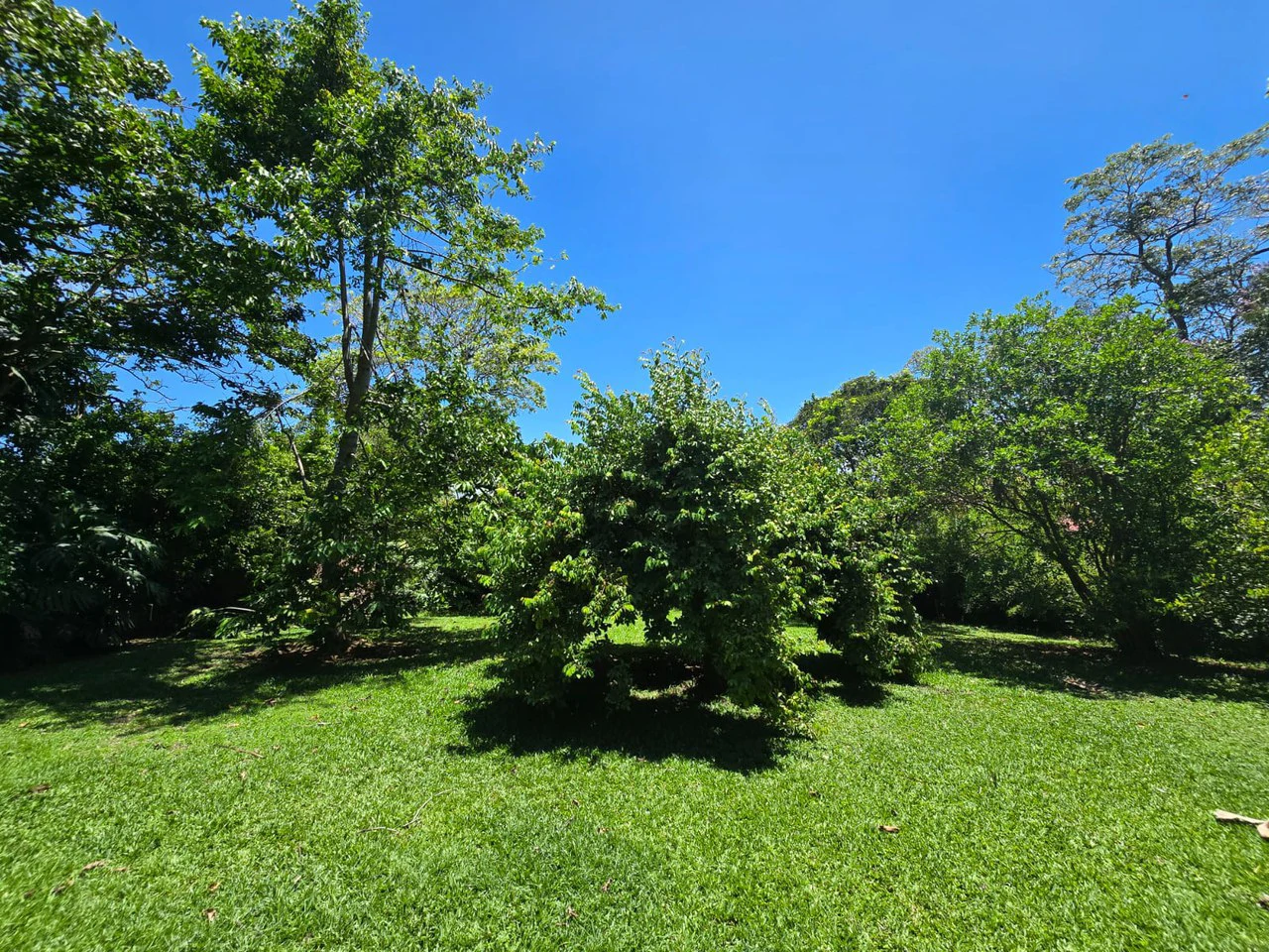 Land for Sale in Condominium in Ciudad Colón Costa Rica - Gallery image 5
