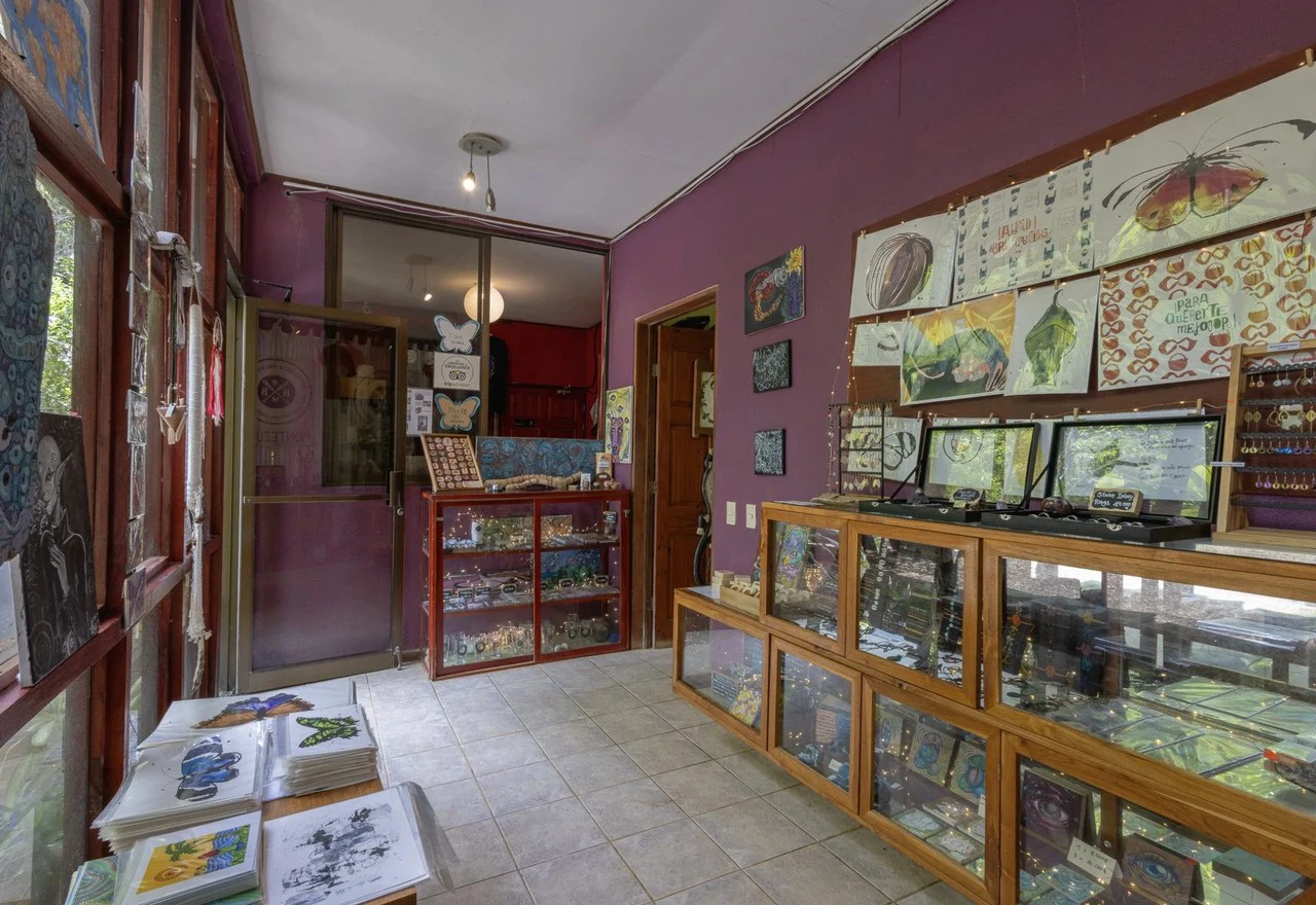 The Butterfly Brewery: $795,000 USD (NEW PRICE!) for this established business opportunity. - Gallery image 7