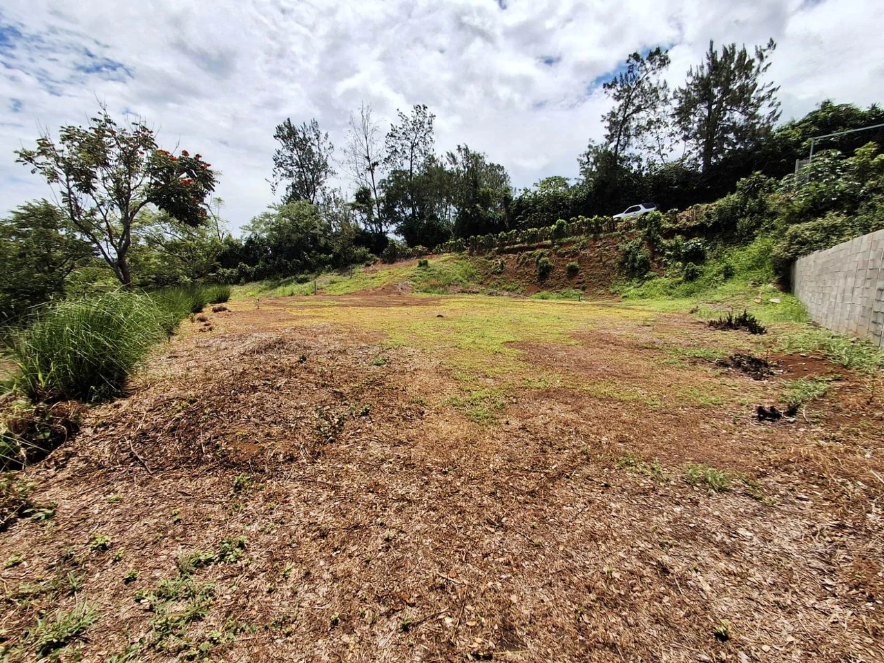 Flat and Private...Beautiful...Flat Lot close to town! - Gallery image 8