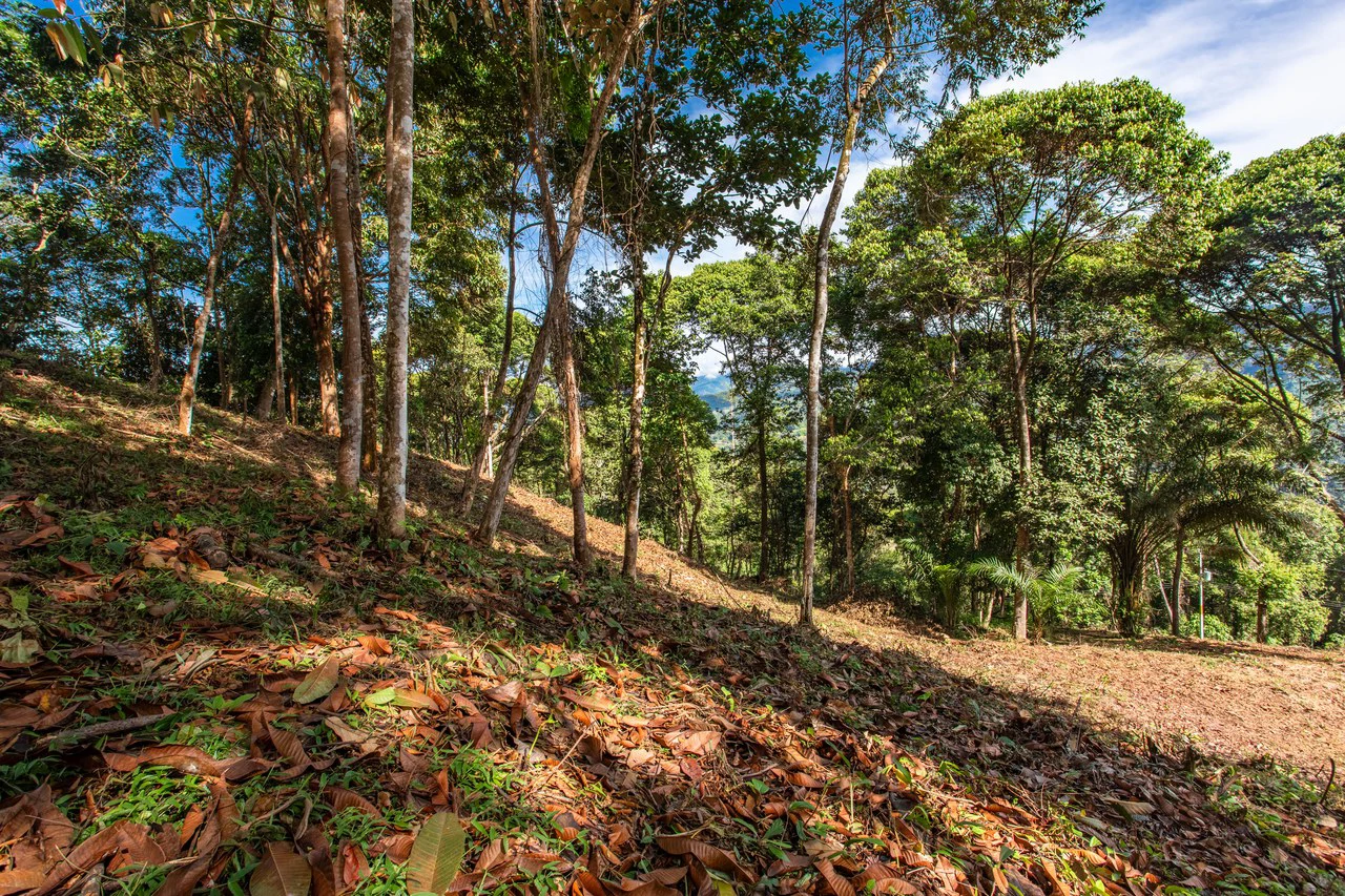 2.9 Acre Paradise with Diamante Valley Views Dominical - Gallery image 22