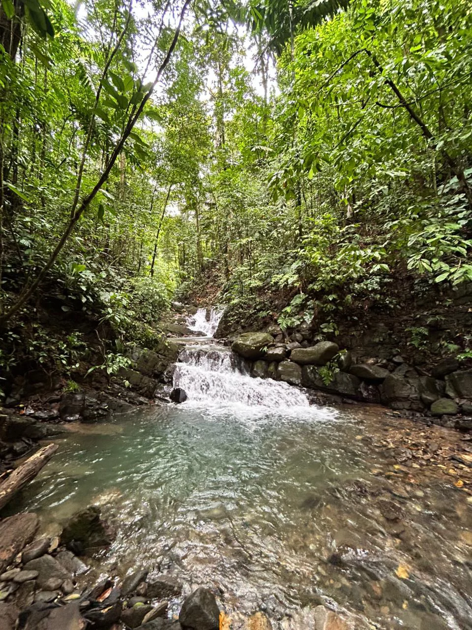 Finca Las Cataratas in Ballena: Mountain Home Construction Site For Sale in Bahía Ballena - Gallery image 24