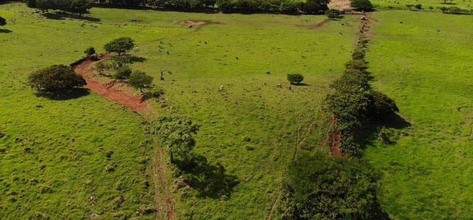 Finca Los Angeles: JUST REDUCED ! 281 Acre Farm with River, Lake, and Sunset views - Gallery image 11