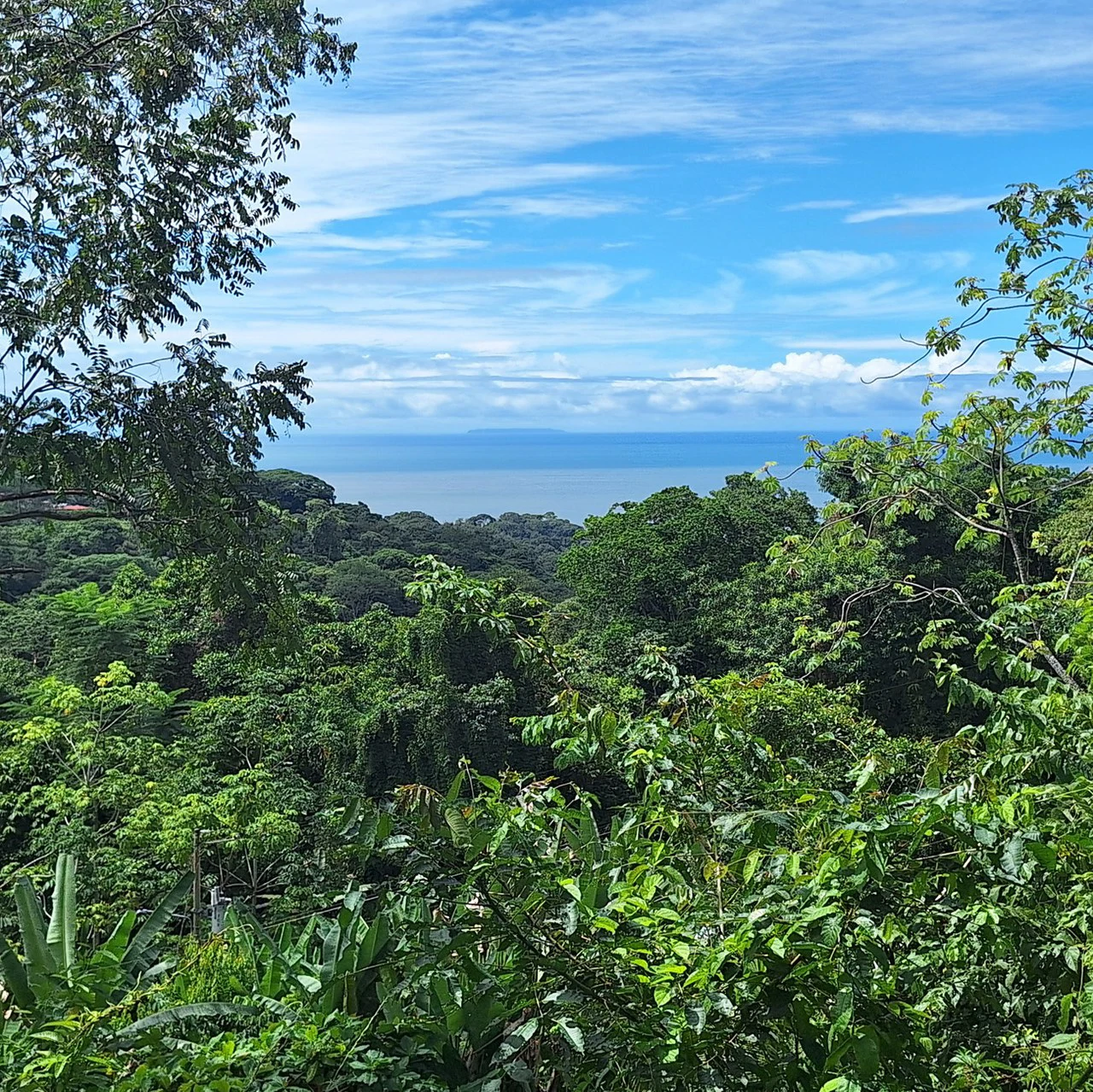 Exceptional Ocean & Mountain View Property in Pinuela Arriba, Costa Rica - Gallery image 4