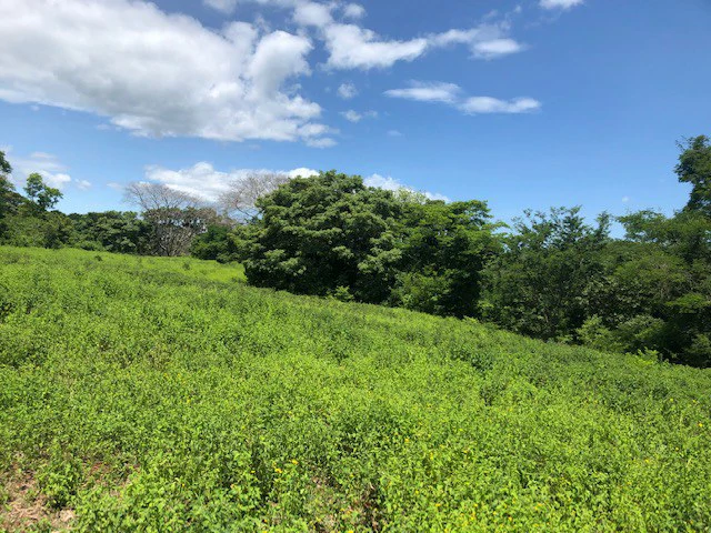 Amazing 50% discount for Huge ocean-view farm for sale surrounded by soft rolling hills and pristine nature - Gallery image 27