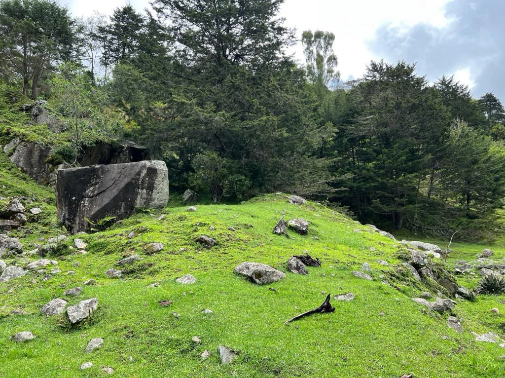 Mountain Agricultural Land For Sale in Herradura - Gallery image 10
