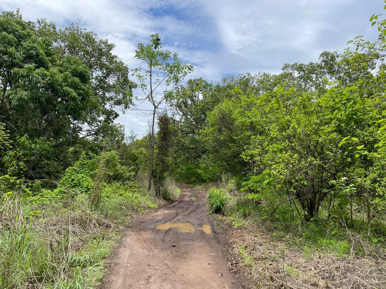 Beautiful private Mango farm and river frontage in Irigaray, 15 minutes from Liberia - Gallery image 7