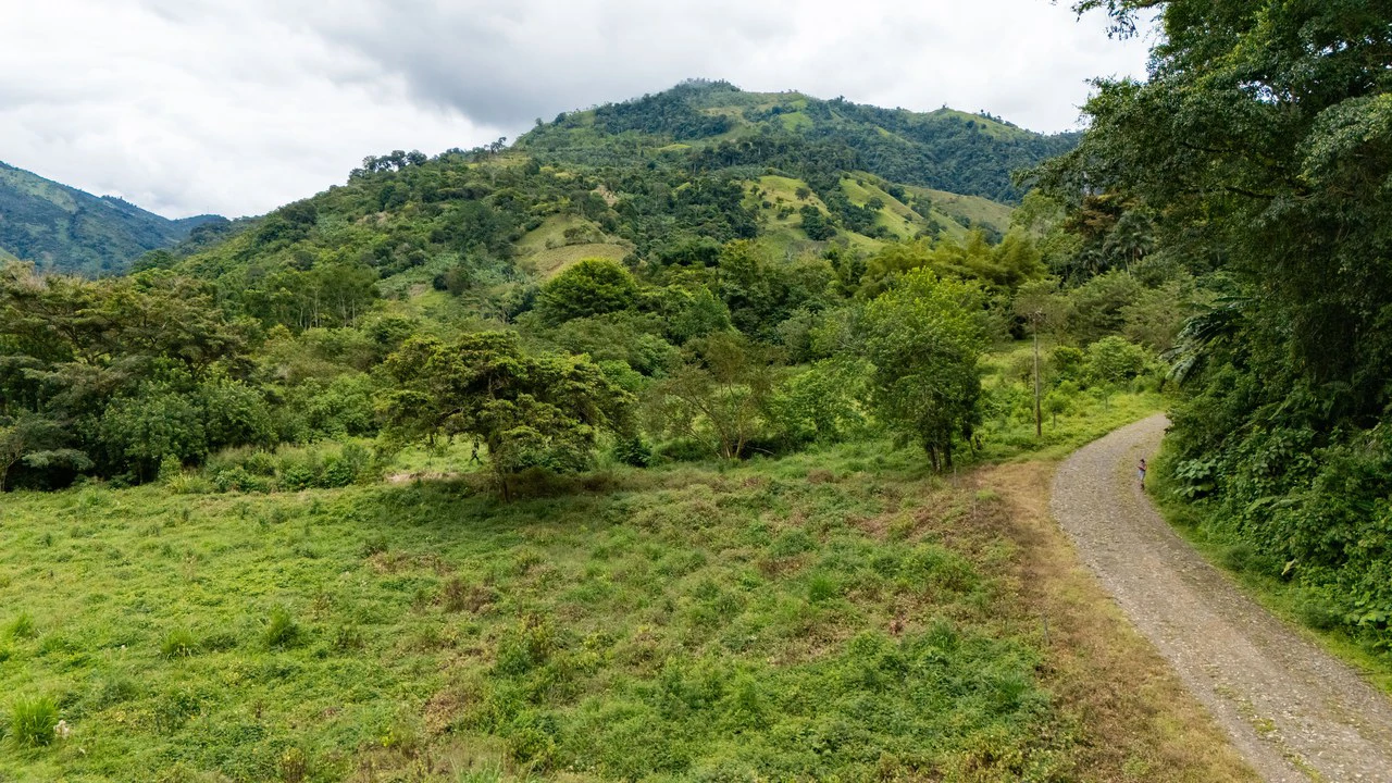 Mountain Home Construction Site For Sale in Río Nuevo - Gallery image 18