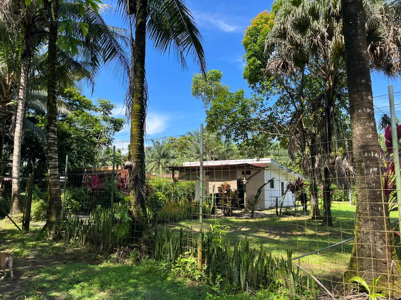 Perla Tropical Rio Seco: Great Opportunity for Sale with reduced price - Gallery image 18