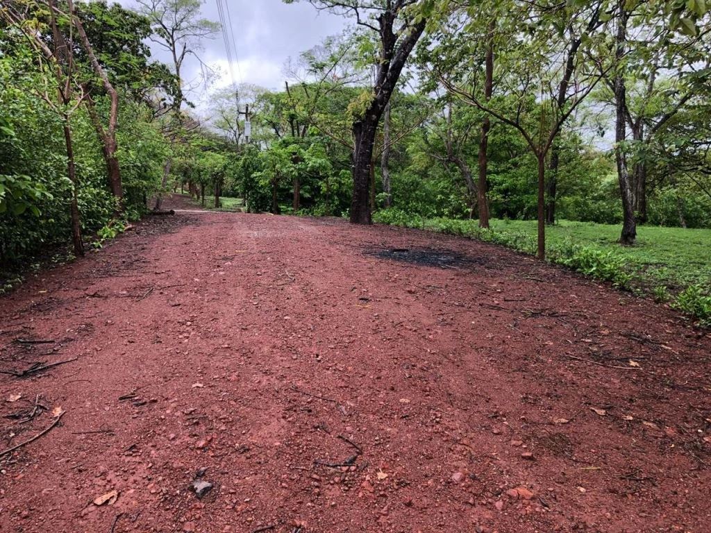 Lot in exclusive Residential, close to Beach Tamarindo - Gallery image 7