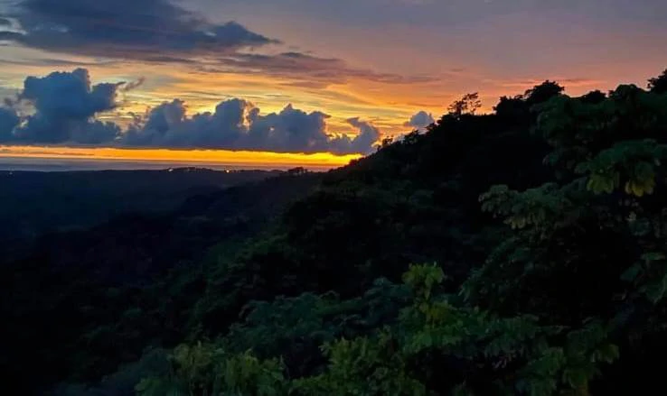 Vista el Mar: 8 ha with OCEAN VIEWS!