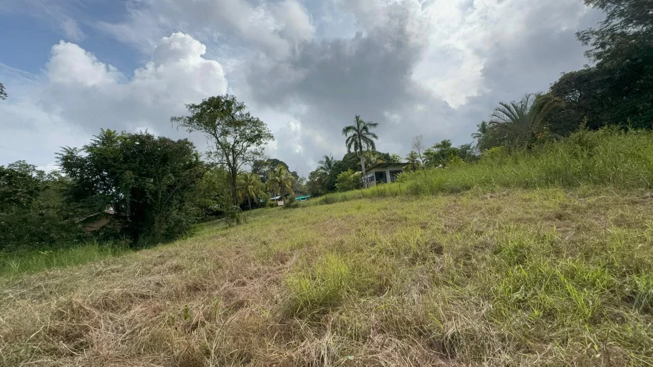 6000m2 Land Near Montezuma and Santa Teresa: ixed use, commercial and residential - Gallery image 2