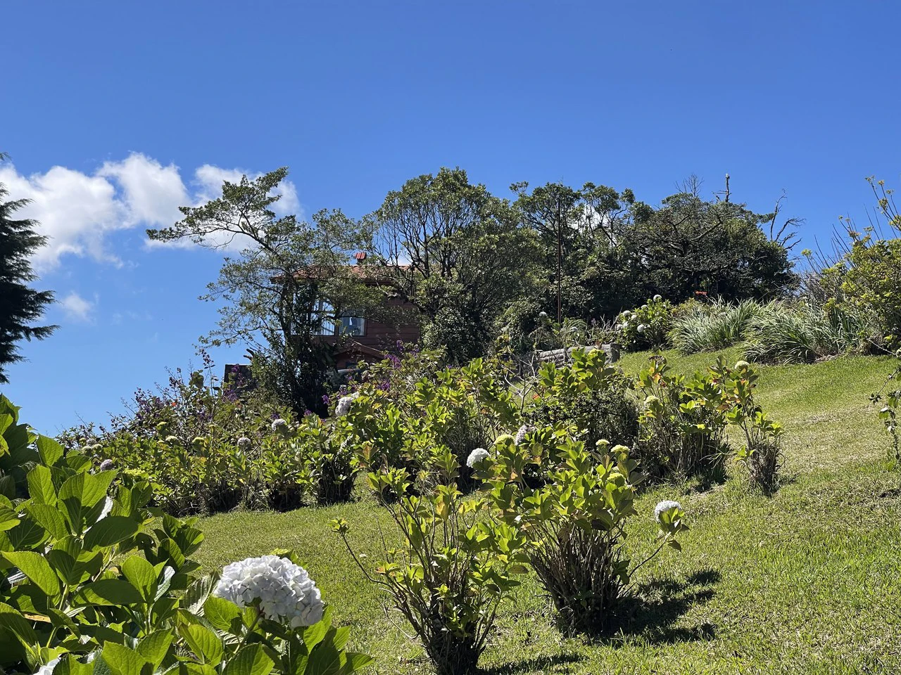 Poasito cottage: Poasito, Alajuela views cottage for sale - Gallery image 17