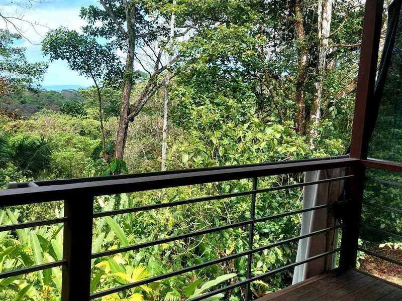 Ocean View Mountain House La Balsa - Gallery image 21