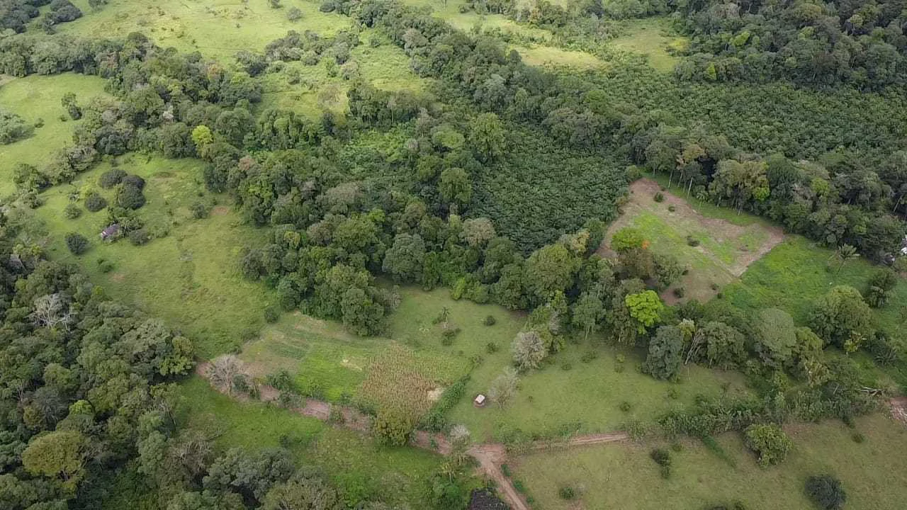 23 Acres of Paradise at Bahia Drake - Gallery image 33