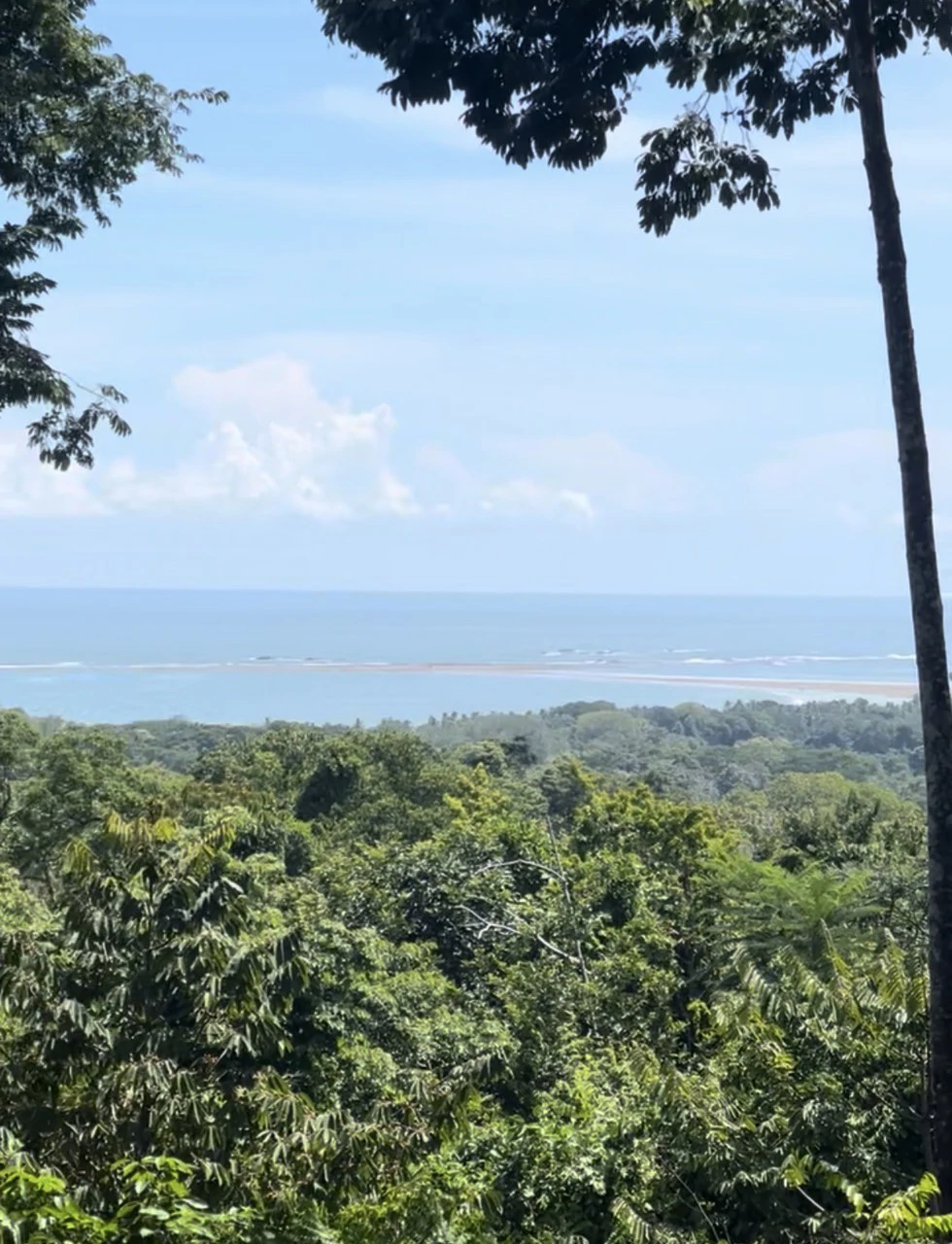 1.7 Acres Ocean View Lot with Producing Cabin in Uvita - Gallery image 16