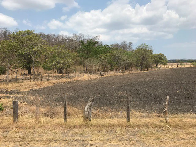 Great opportunity: Big property in Palmira de Carrillo - Gallery image 2
