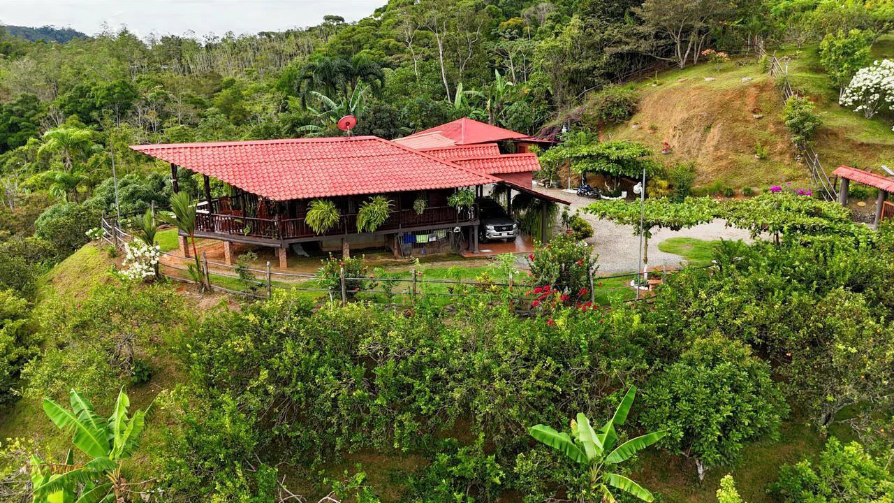 Charming Hardwood Cabin with Fruit Garden Near San Isidro - Gallery image 30