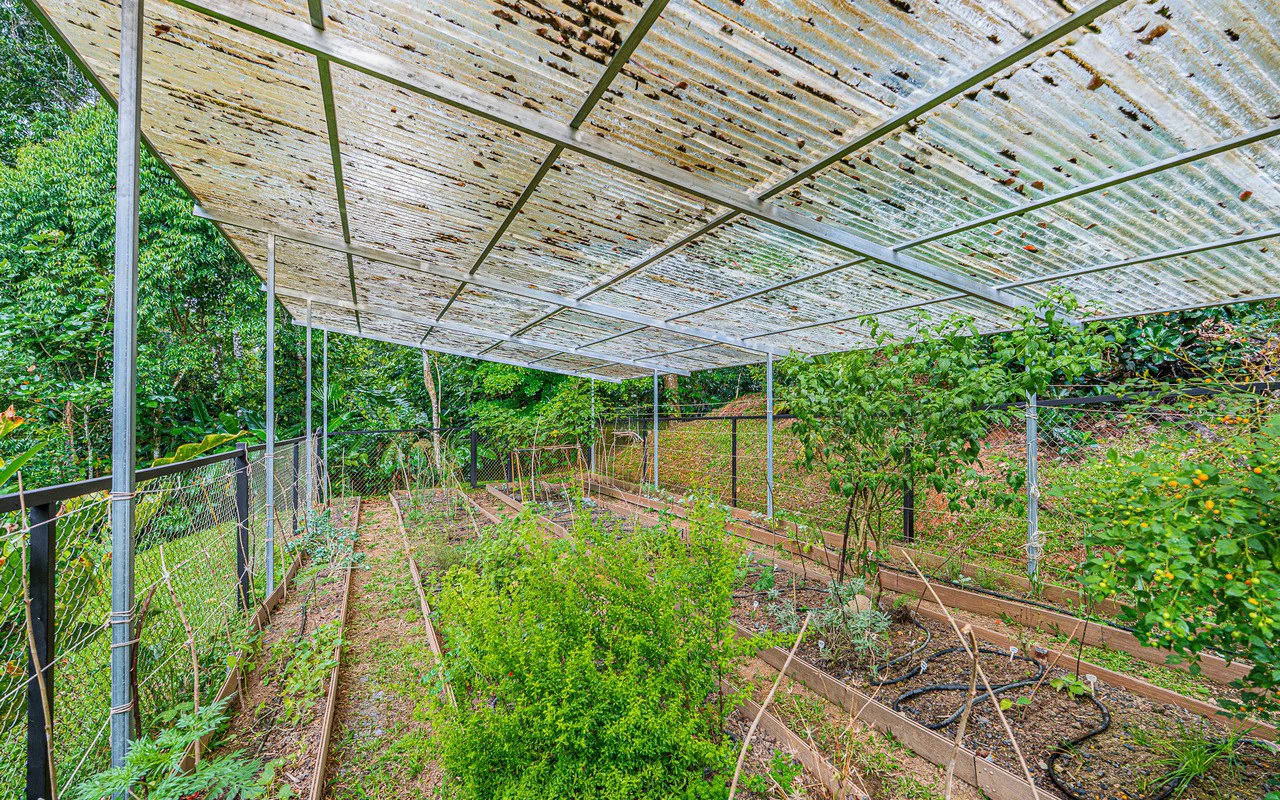 Off Grid Luxury Estate Micro Regenerative Homestead Tinamastes - Gallery image 74