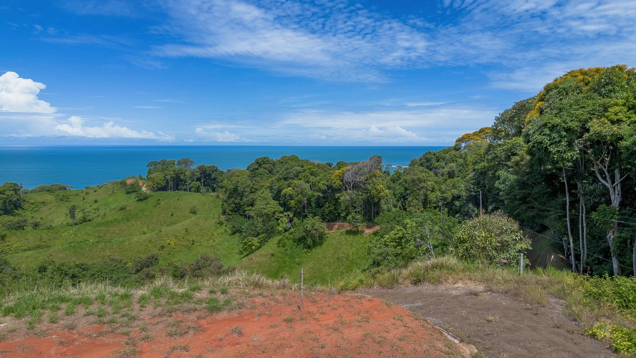 Luxury Ocean View Lot in Piñuelas - Premier Building Site - Gallery image 20