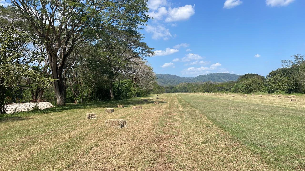 Private property for sale with a modern house and pool surrounded by the nature of Playa Samara – excellent investment opportunity - Gallery image 11