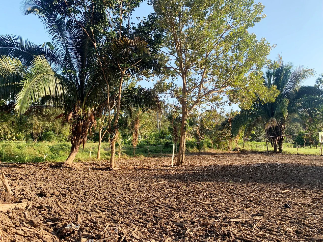 Prime Oceanside Commercial and Residential Lot in Playa Hermosa - Gallery image 12