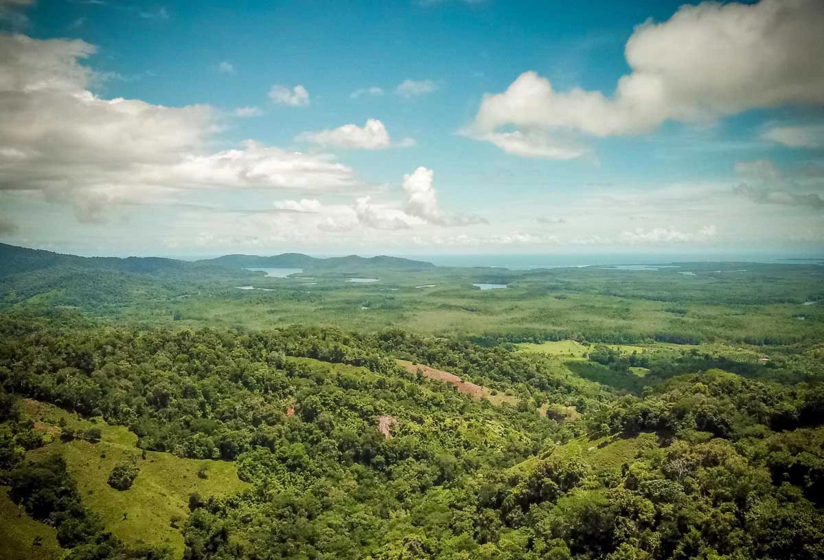 Sierpe Viewpoint on Main Route | San Juan de Sierpe, Puerto Jimenez