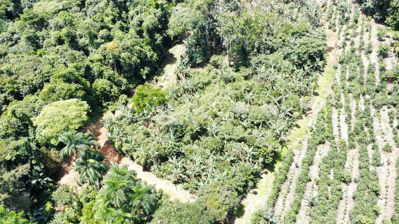 Propiedad en San Rafael de Platanares, Costa Rica: Mountain Home Construction Site For Sale in San Rafael - Gallery image 5